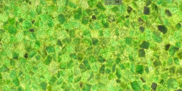 Green quartz
